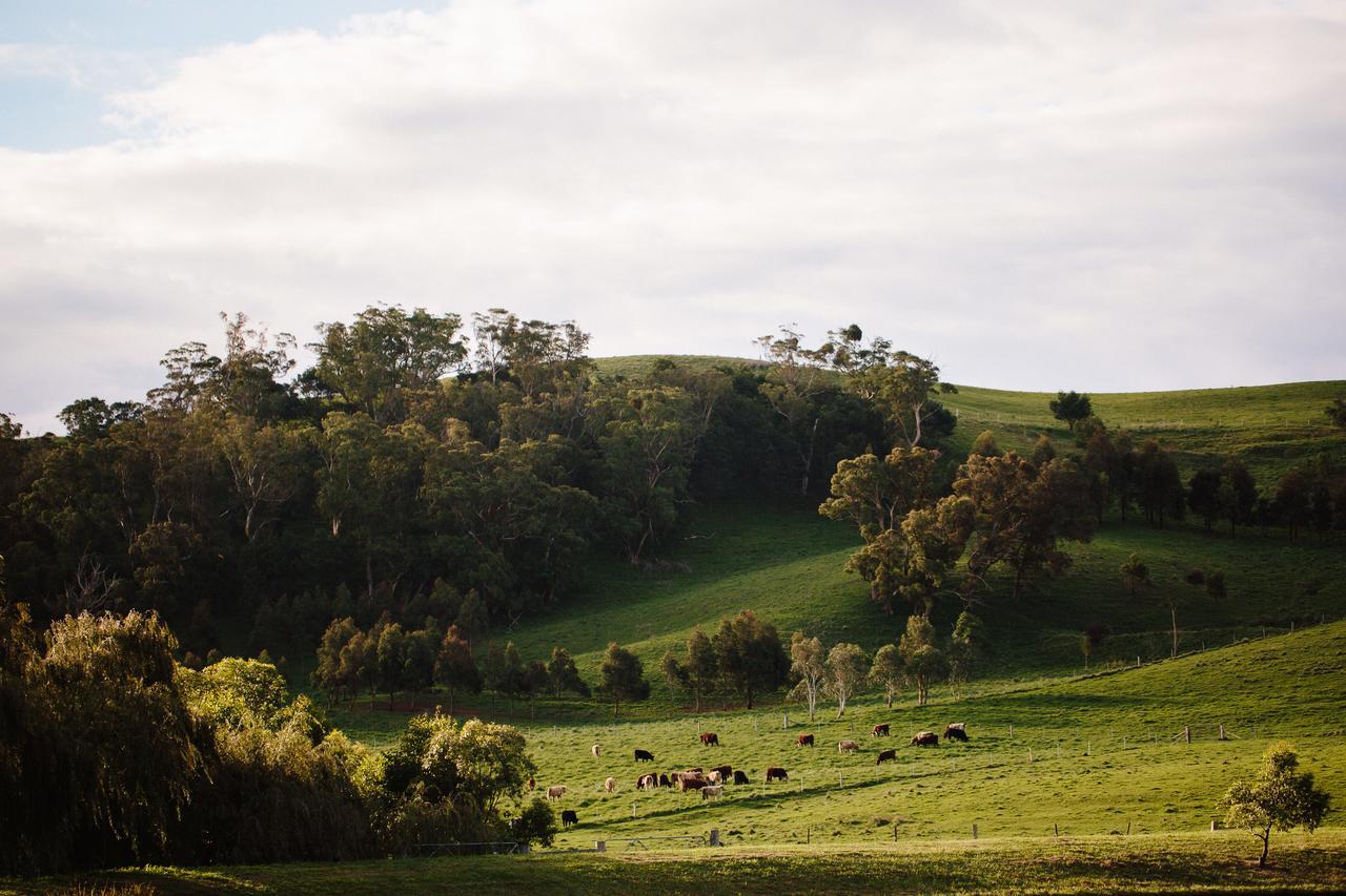 Bendooley Estate Berrima